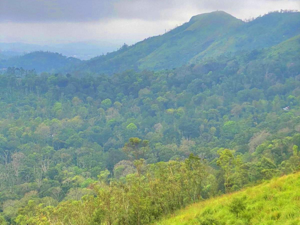 The Windy Mist Resort Munnar Chinnakanal Esterno foto